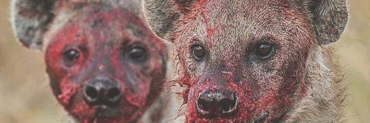 Lose Yourself banner