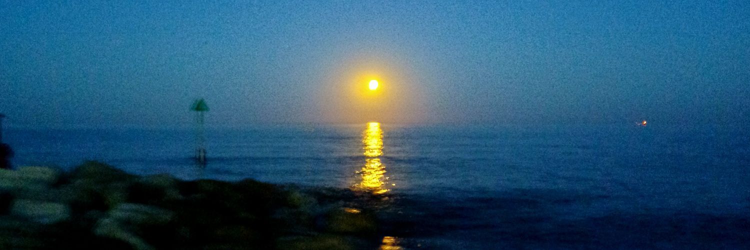 Michelle Barter banner