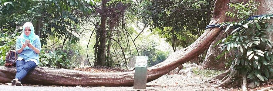 rie_qiboel's profile banner image