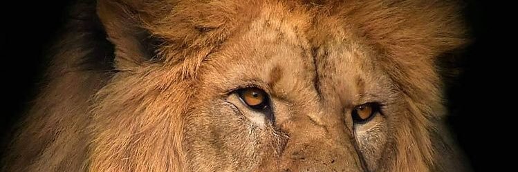 brian_mandela's profile banner image
