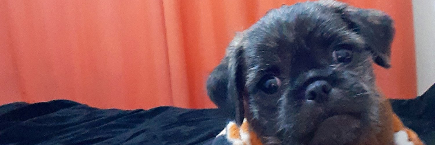 javierdiazca's profile banner image