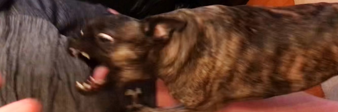 mroytetzger's profile banner image