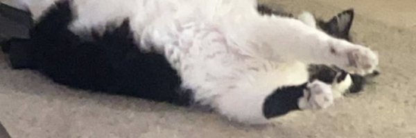 _gracieee13 Profile Banner