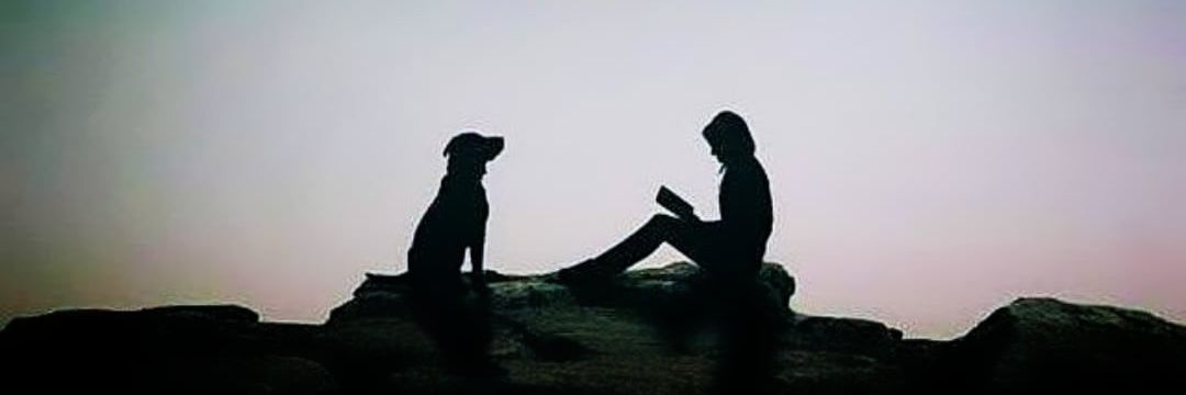 IamSiz banner