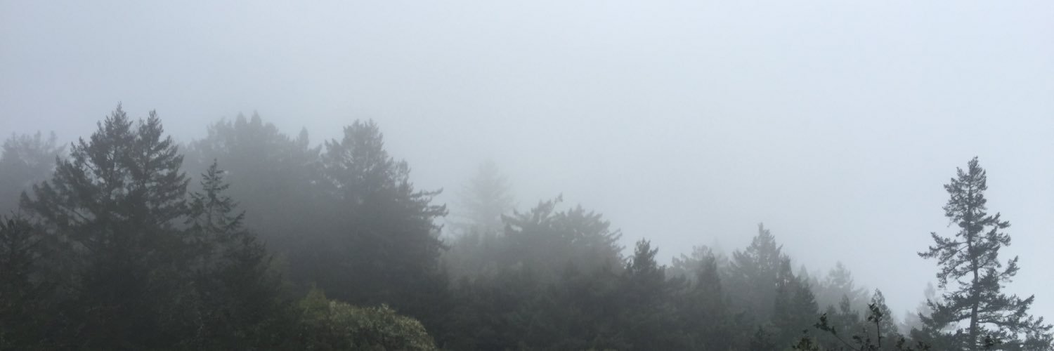 OjaniCabrera's profile banner image