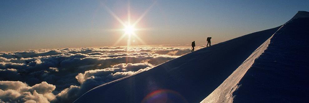 Nature_Fann's profile banner image