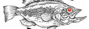 Schoolkids's profile banner image