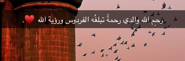 N_ALHMD's profile banner image