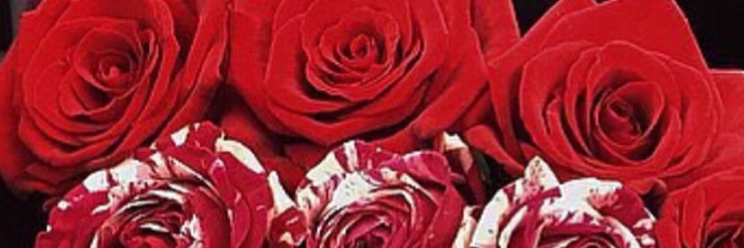Mariia banner