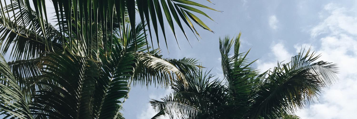 ticiaaam's profile banner image