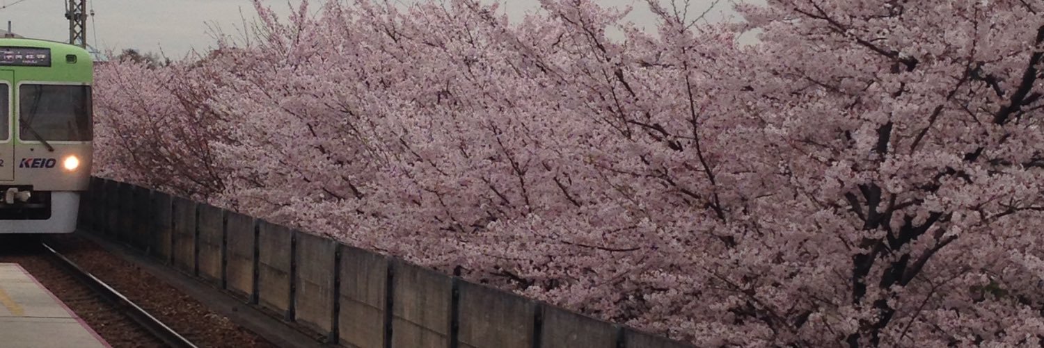 ayfu27's profile banner image