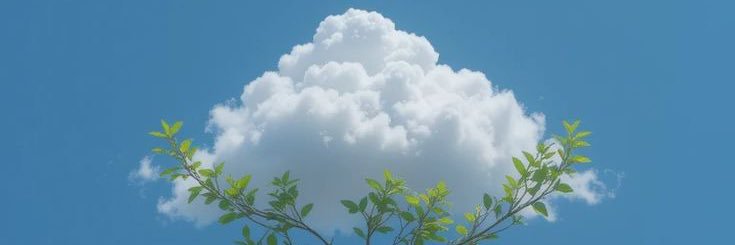 syzw_'s profile banner image