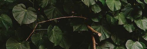 imveebby's profile banner image