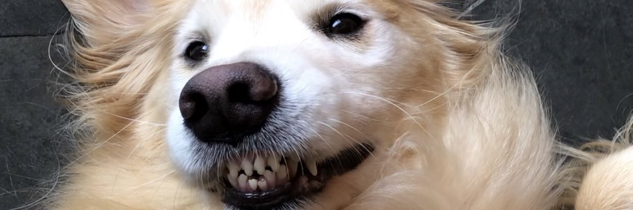xstabua's profile banner image