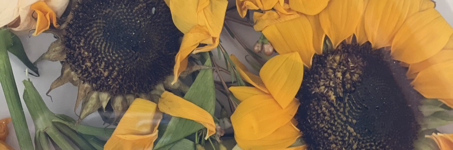cellamellaa's profile banner image