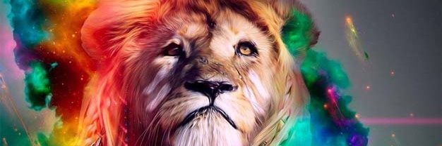 dennunez7's profile banner image