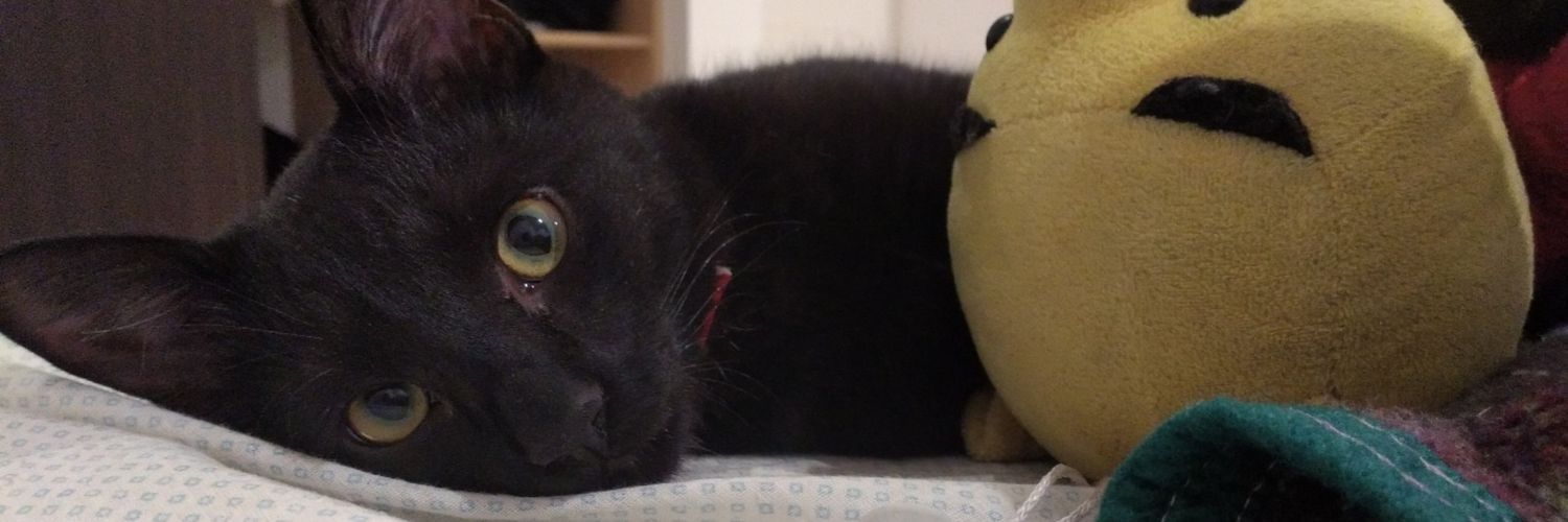 Ori_Austin's profile banner image