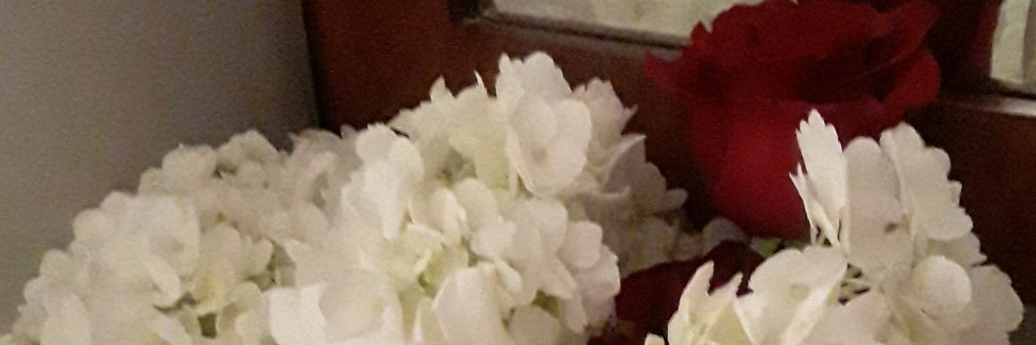 mtuwanda's profile banner image