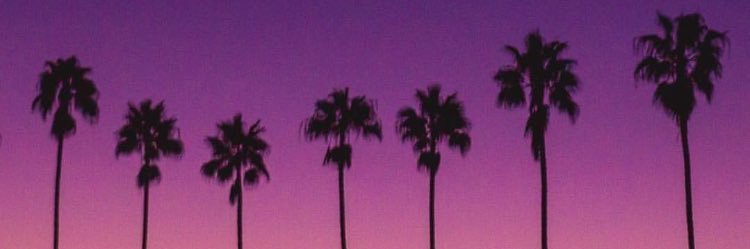 Pippabullock96's profile banner image