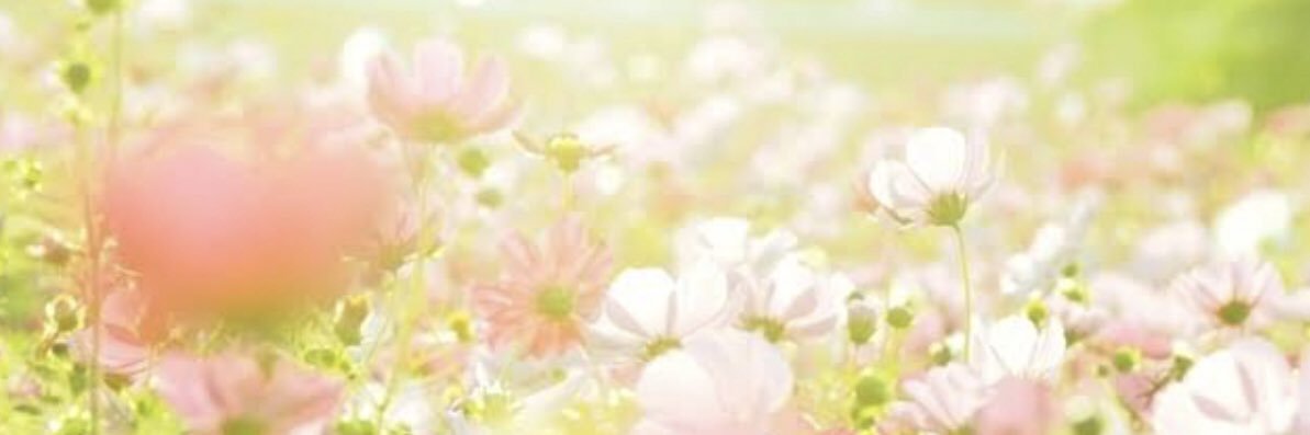 yukkkari's profile banner image