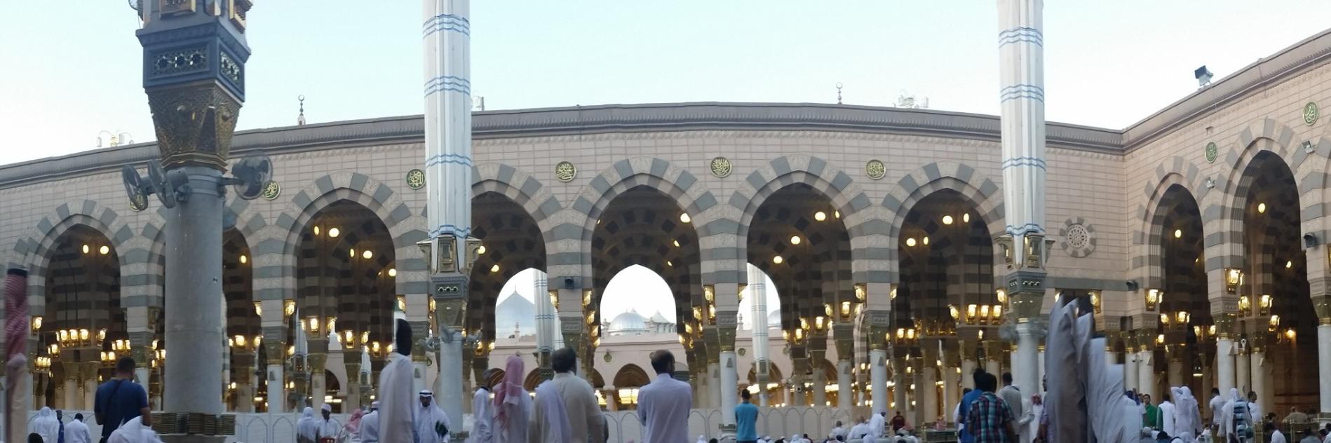 hani_shareef's profile banner image