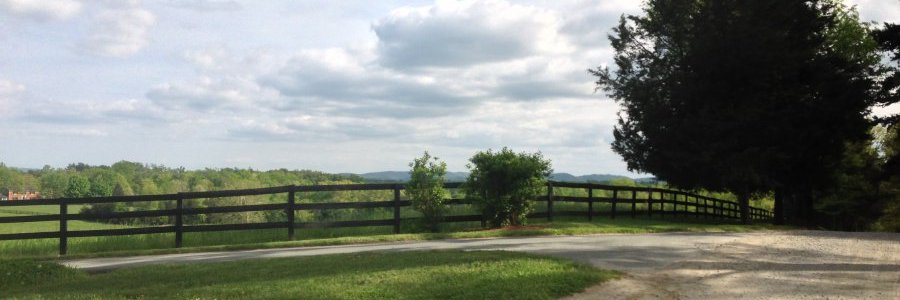 Decca Lane Capital banner