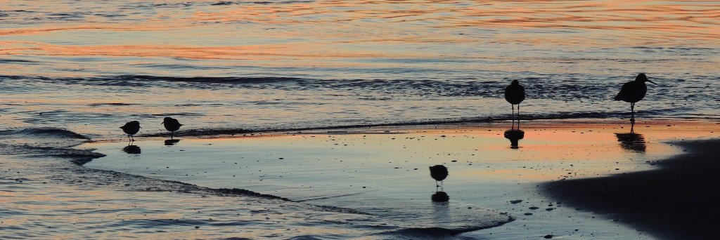 Heber🔬🌊🌱🦟🐟🇺🇸🇺🇦 banner