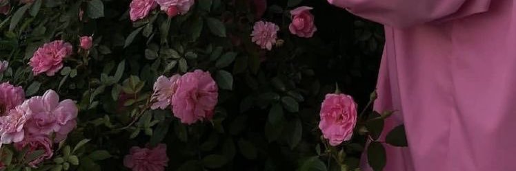 ro667z's profile banner image