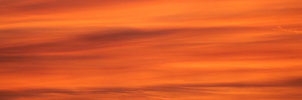 Andrea Morales banner