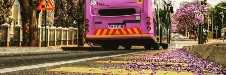 she_bongi's profile banner image