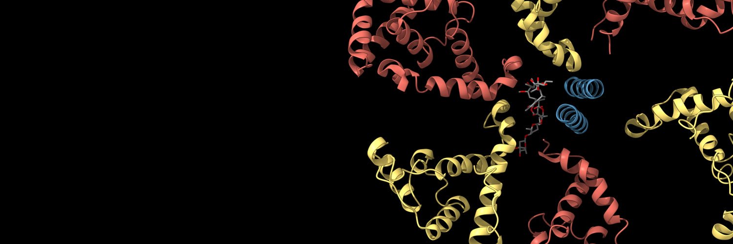 Ben Reisman MD PhD banner