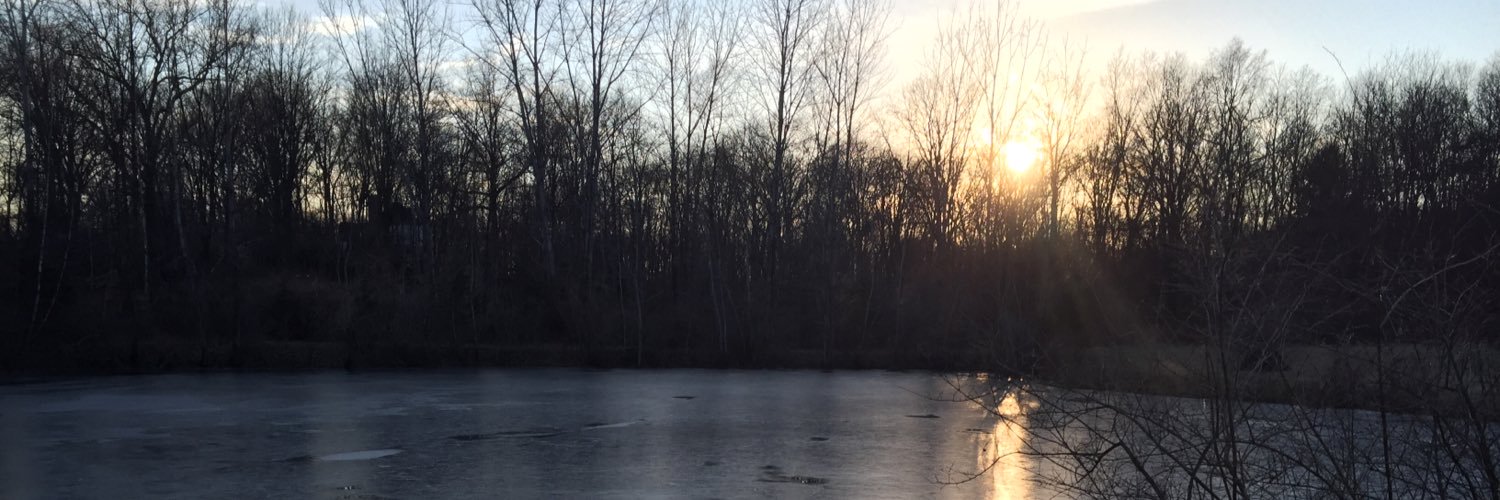 VArnade's profile banner image
