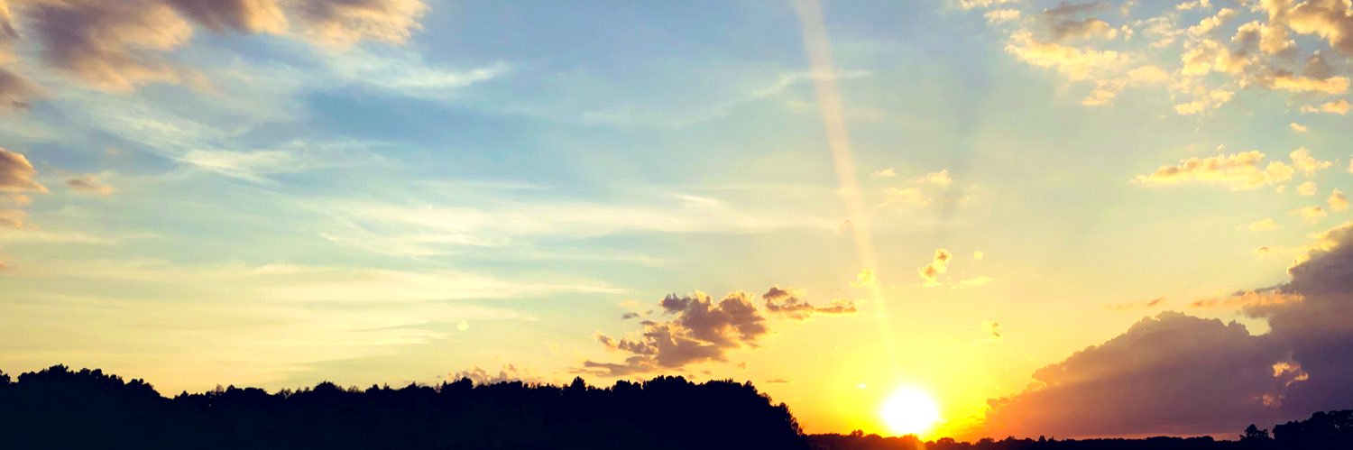 Brandi_Stephens's profile banner image