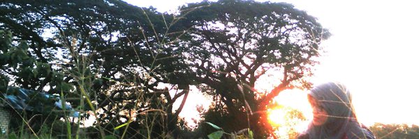 nadjibmoehammed Profile Banner