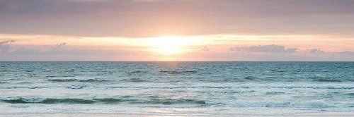 ameliaevans8's profile banner image