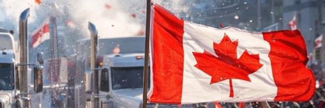 BeardedPolitic's profile banner image