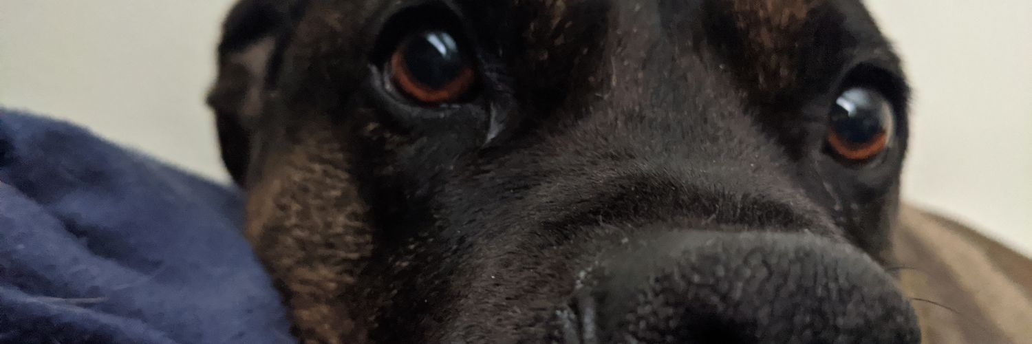 YoMommaAtsMe's profile banner image