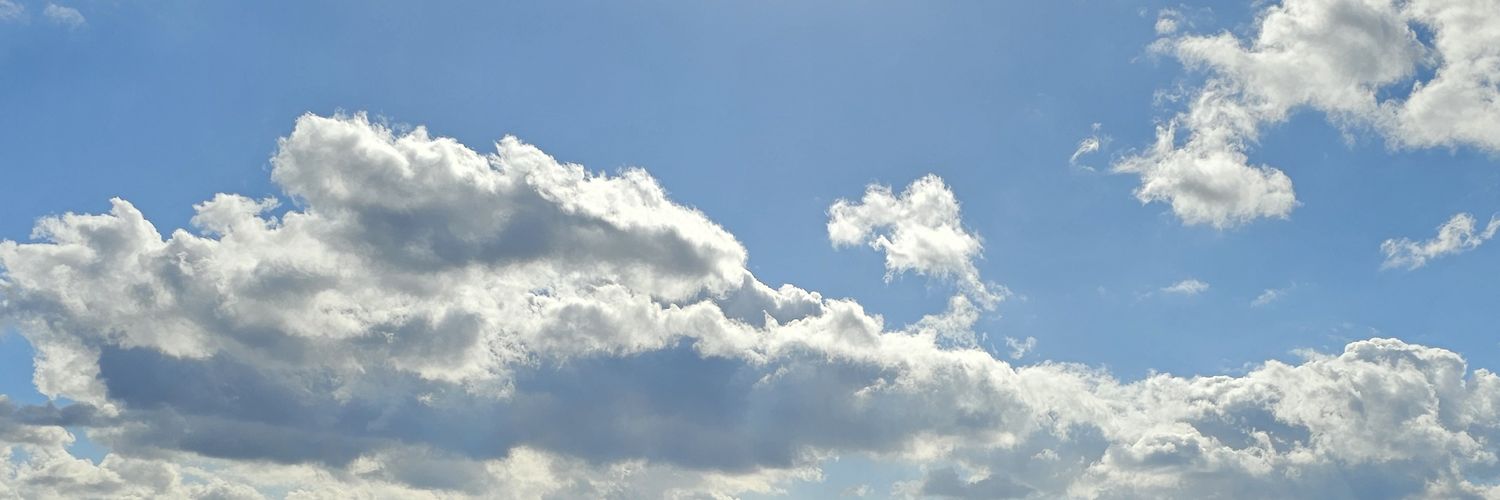 citrustee1's profile banner image