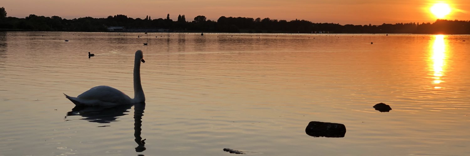 EmmaMBrown2's profile banner image