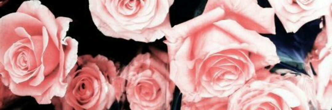 mgribowskas's profile banner image