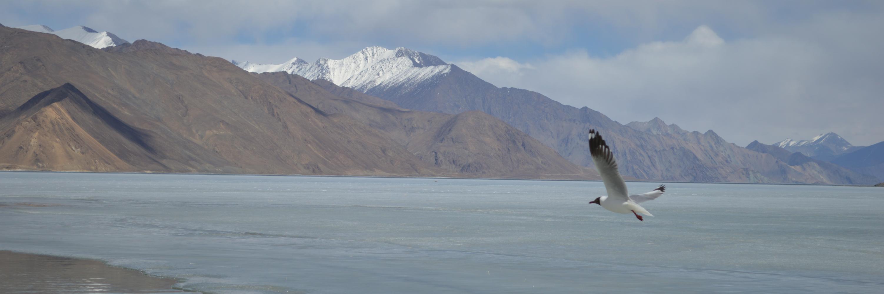 dishakaushal's profile banner image
