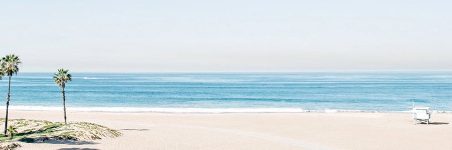 Casey Junod banner