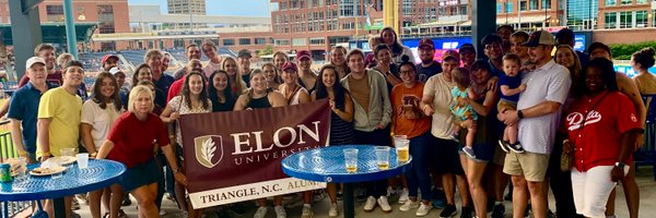 ElonInTriangle Profile Banner