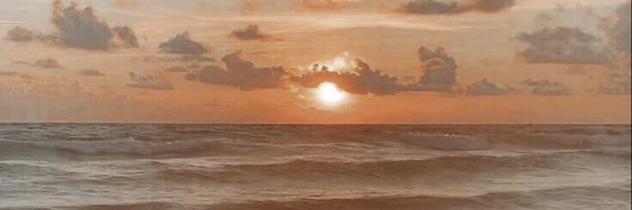 thalixpn's profile banner image