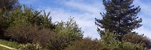 Jaime Herrera banner