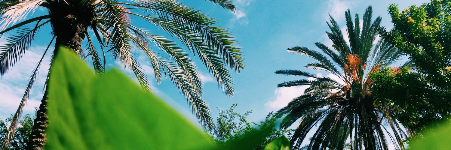 simcha_m's profile banner image