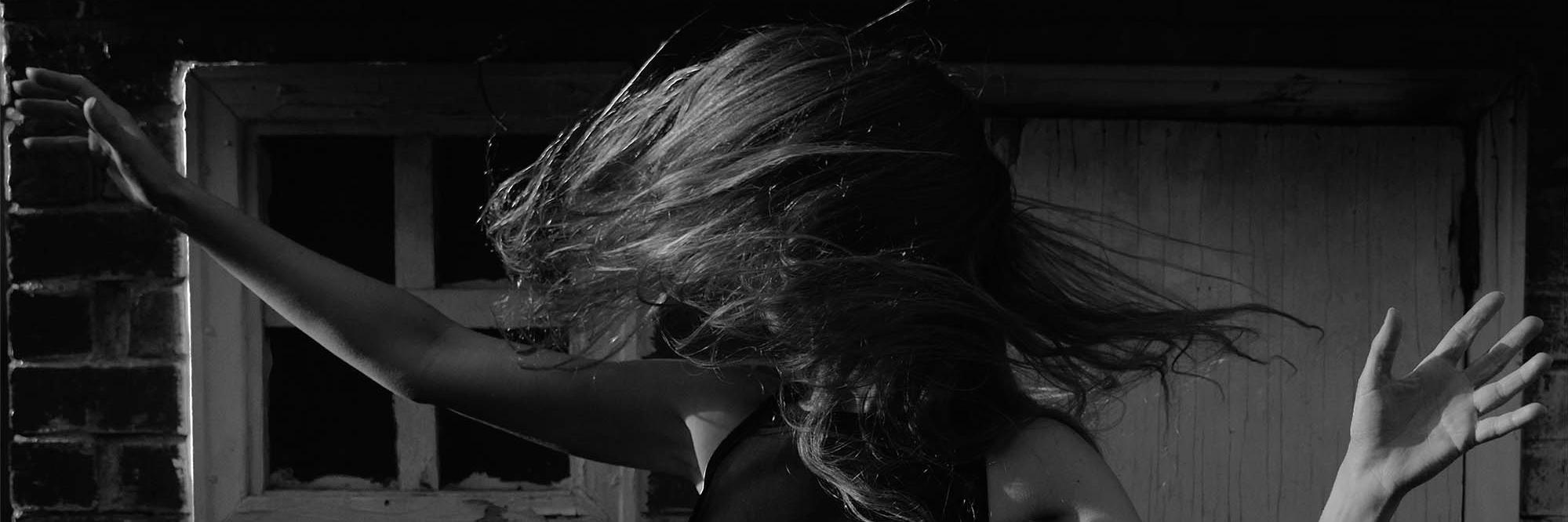 AnimaliaMusic's profile banner image
