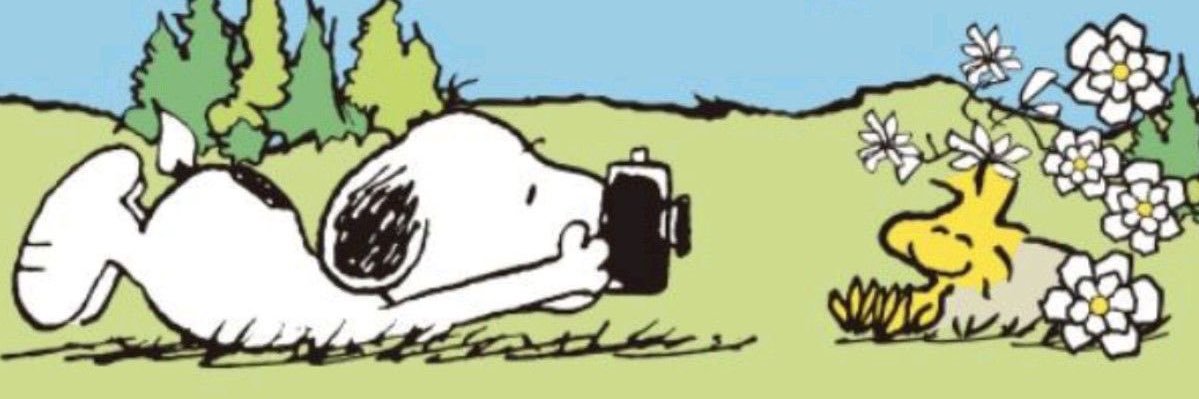 Iovableloser's profile banner image