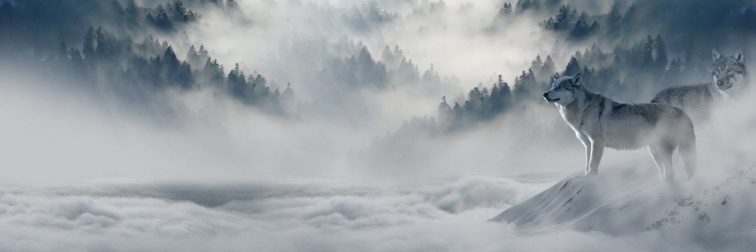 DerSniperHD's profile banner image