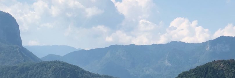 laurenevance's profile banner image